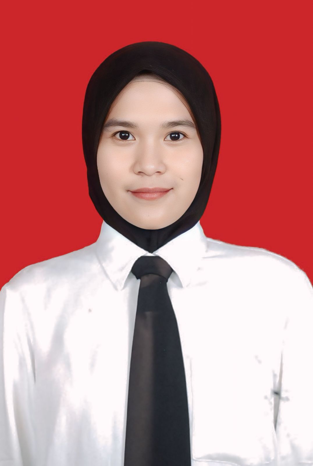 Dosen Sistem Informasi